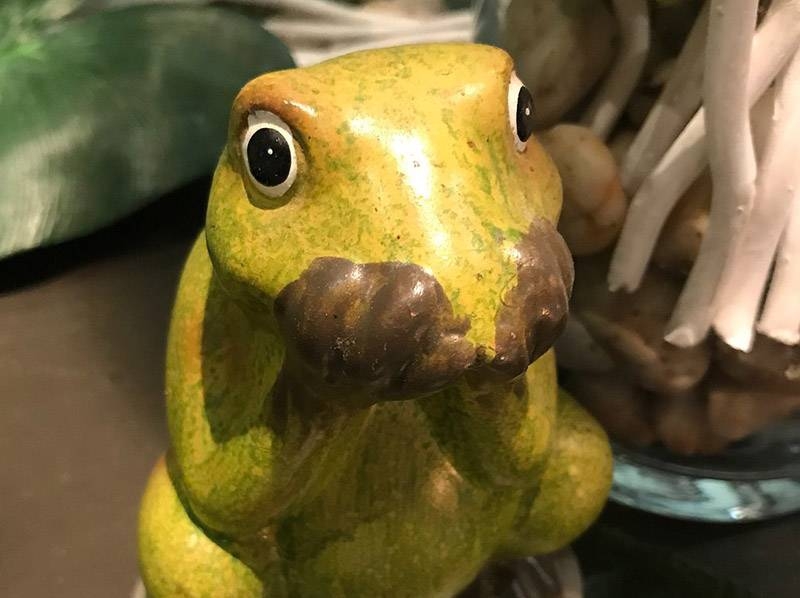 Le Frog Restaurant Nice